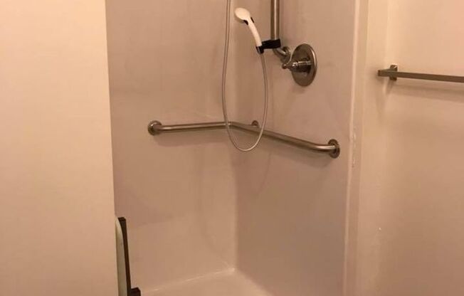 Studio, 1 bath, 550 sqft, $1,249, Unit 00 - 620106