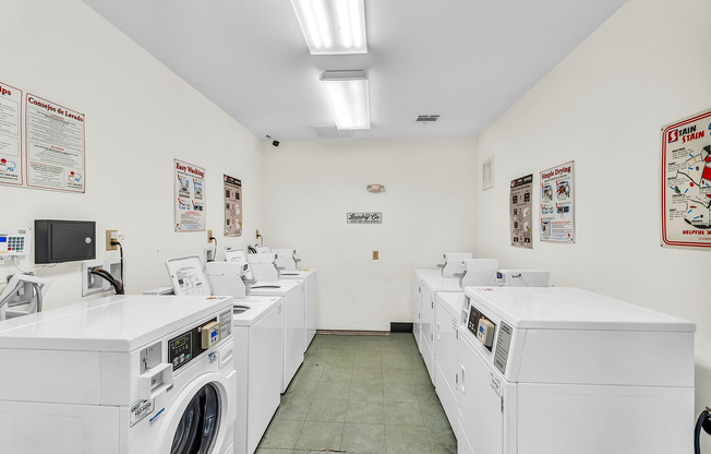 52-web-or-mls-DSC06839