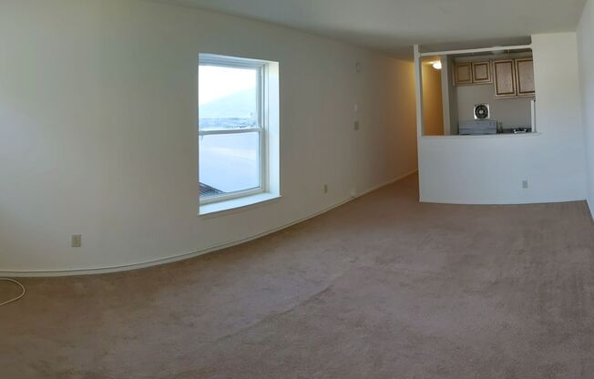 Studio, 1 bath, 300 sqft, $1,400, Unit 1J