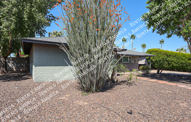 7502 E MINNEZONA AVE