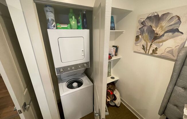 1 bed, 1 bath, $1,375, Unit Unit 202