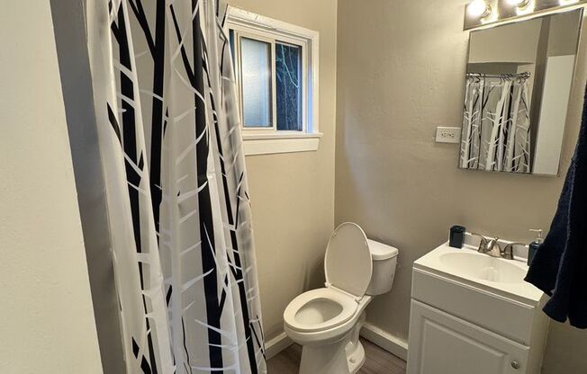 1 bed, 1 bath, 481 sqft, $2,095, Unit 18