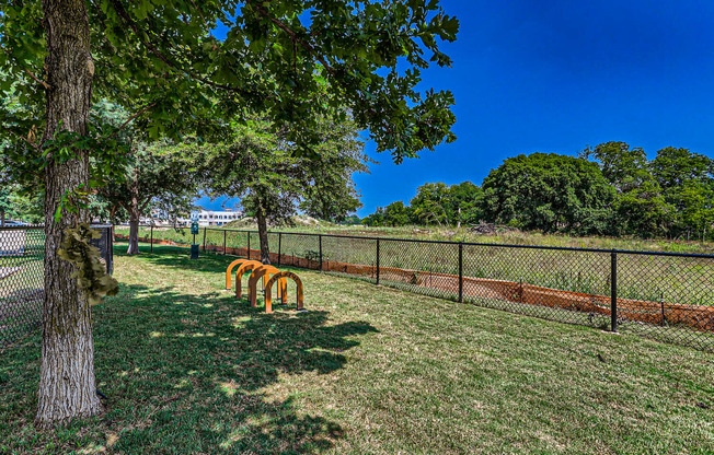 a dog park with a tree and a chain link fence at Discovery at Craig Ranch, McKinney, Texas