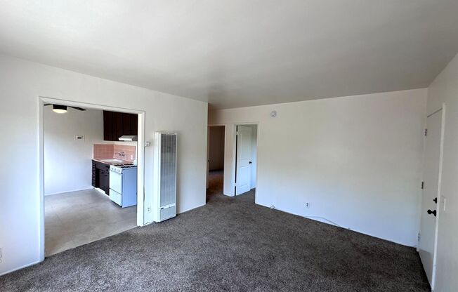 2 beds, 1 bath, $1,750