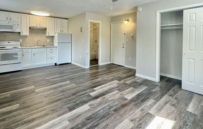 Studio, 1 bath, 450 sqft, $915