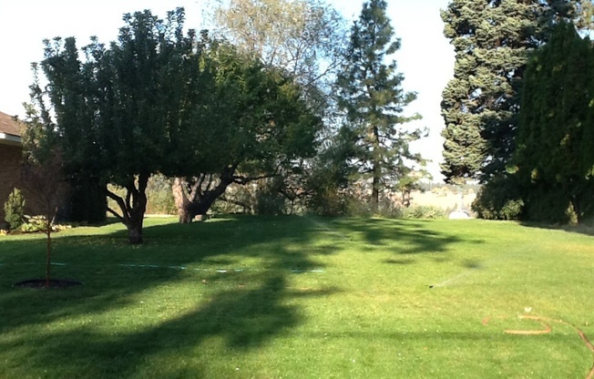 Audubon Area 3 Bedroom 2 Bath Brick Rancher with Spokane River Views