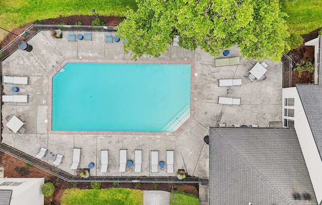 An aerial view of a swimming pool surrounded by lounge chairs and trees.