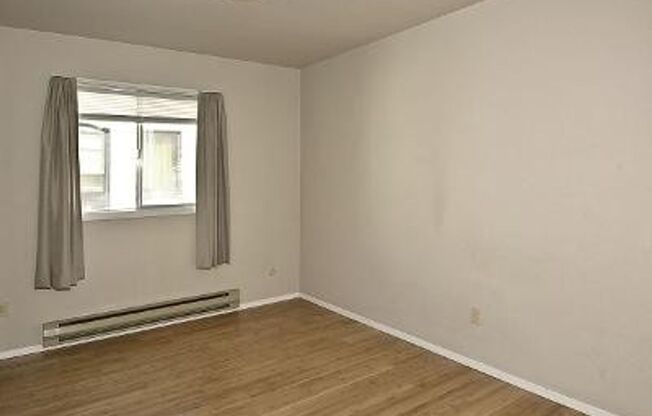 1 bed, 1 bath, $895