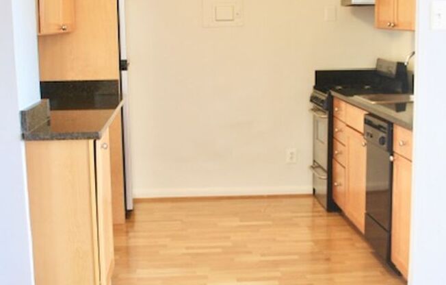 Studio, 1 bath, 454 sqft, $1,875, Unit 1007