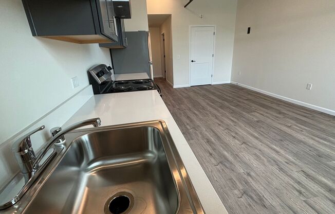 Studio, 1 bath, 398 sqft, $1,250, Unit 220