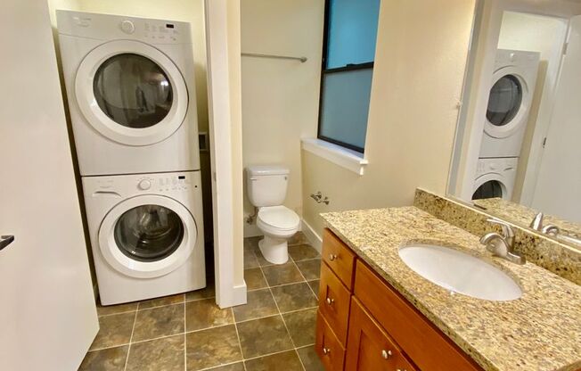 Studio, 1 bath, 393 sqft, $1,445, Unit 113