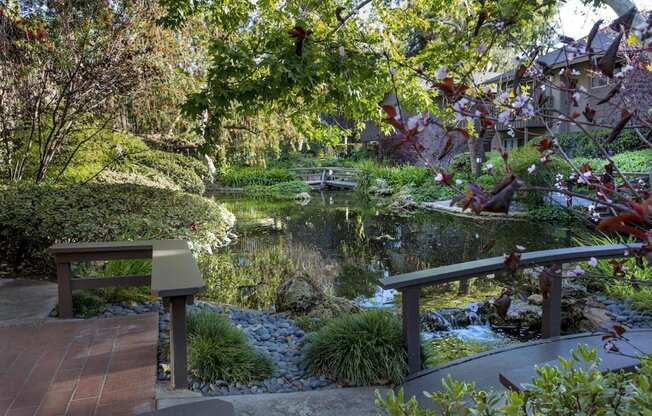 a view of a garden with a pond and benches