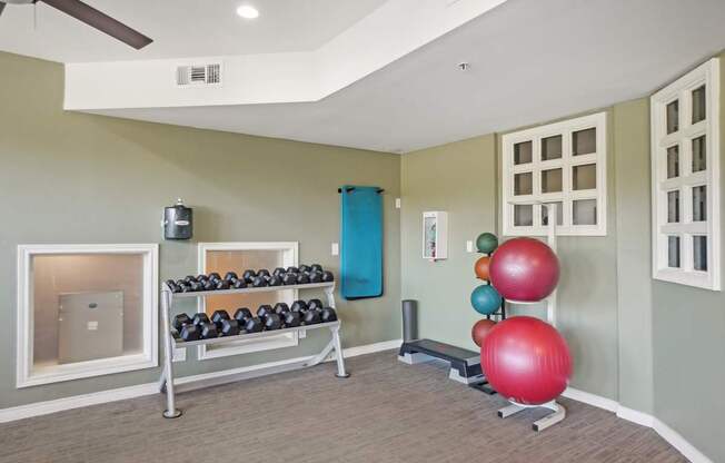 A room with a row of dumbbells and a row of exercise balls.