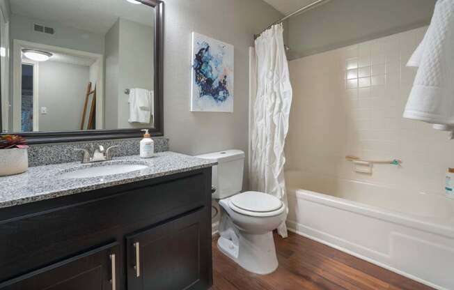 Veridian at Sandy Springs apartments interior bathroom with a sink toilet and bathtub