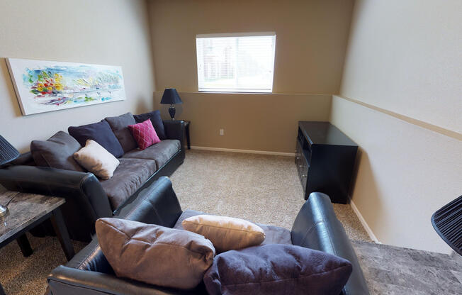 second living area, basement, couches