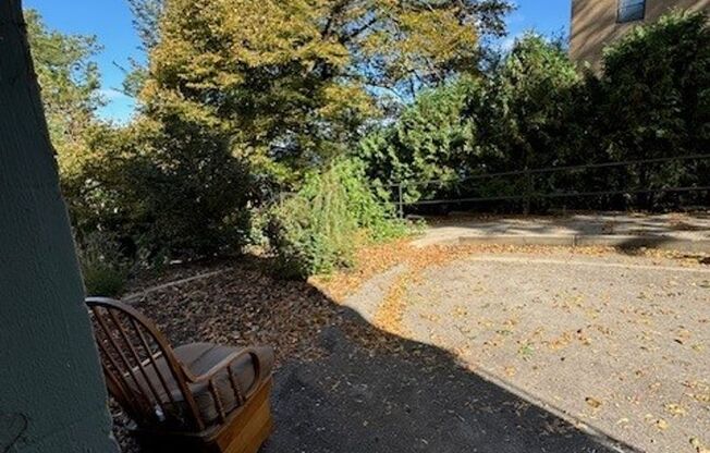 Studio, 1 bath, 325 sqft, $1,150, Unit 2