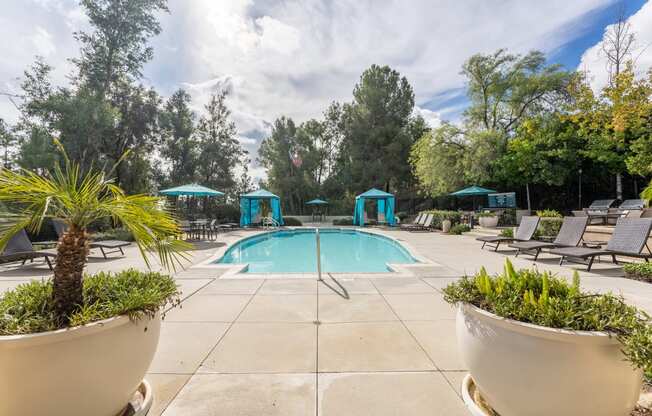 the swimming pool at the resort at governors residence