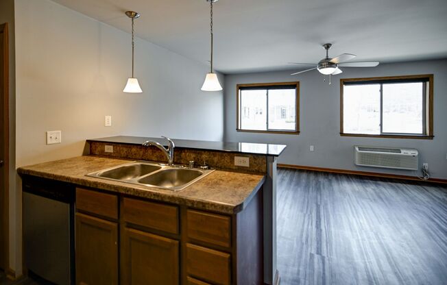 Studio, 1 bath, 579 sqft, $1,300, Unit 215