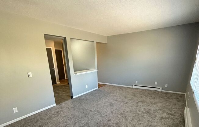 Newly Remodeled 2 Bedroom with Great Location in Ankeny!