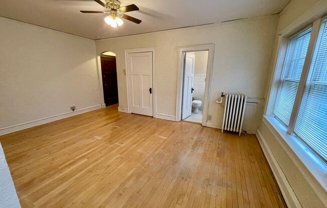 Studio, 1 bath, $875, Unit 205