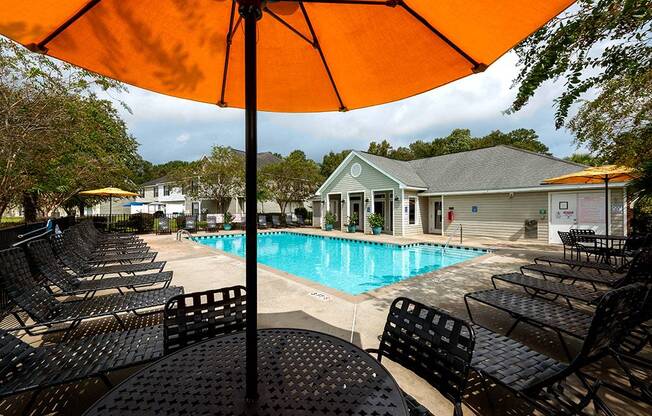 Sparkling Swimming Pool