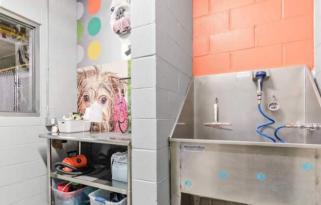 A dog is on a poster in a bathroom with a sink and a window.