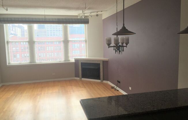 Completely Updated 2 Bed, 2 Bath Printers Row Loft