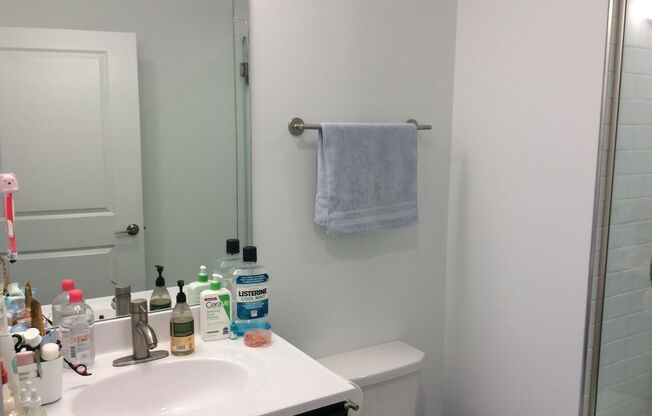 Studio, 1 bath, 575 sqft, $1,425, Unit Unit 407