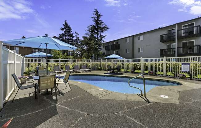 In-grounf Pool with Lounge Seating Surrounding It at Pacific Park Apartment Homes, Washington, 98026