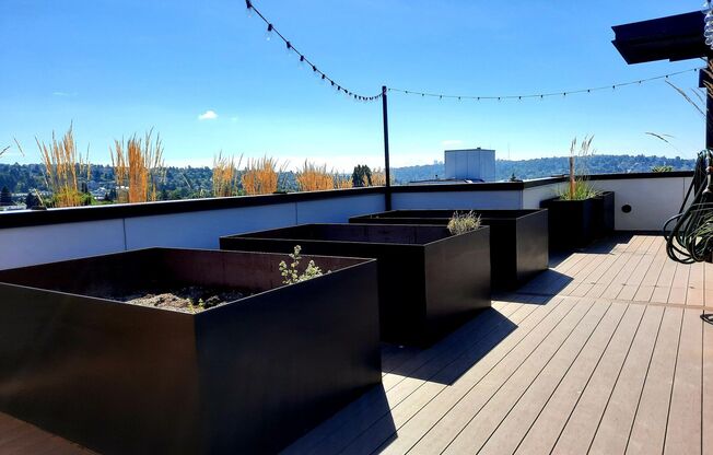 Studio, 1 bath, 224 sqft, $1,240, Unit 404