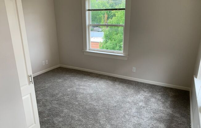 Studio, 1 bath, 322 sqft, $1,225, Unit 309