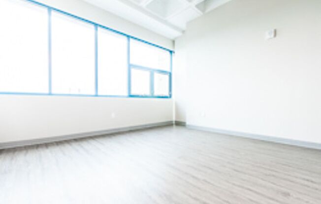 1 bed, 1 bath, 480 sqft, $1,269, Unit 502