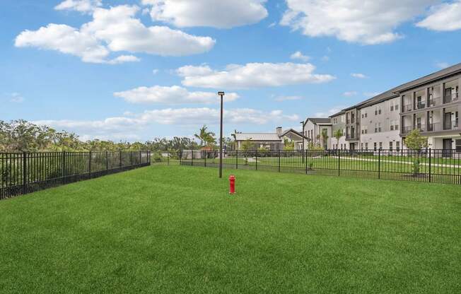 Spacious grass pet park outside of The Crossing at Palm Aire