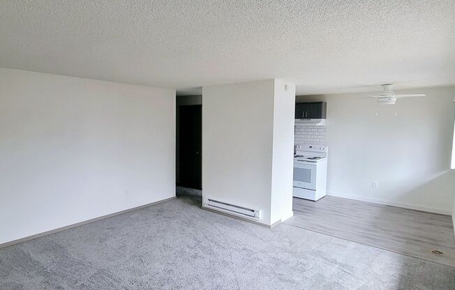 1 bed, 1 bath, 700 sqft, $1,595, Unit 101