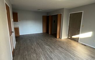 Recently Remodeled 1 bedroom 1 bath apartment!