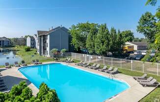 A swimming pool surrounded by lawn chairs and trees.