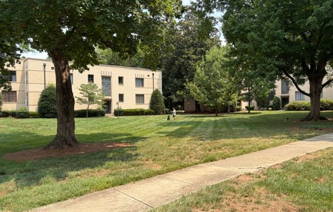 1/2 MONTH OFF SPECIAL - Dilworth -Historic Myrtle Sq 1 bed 1 bath condo