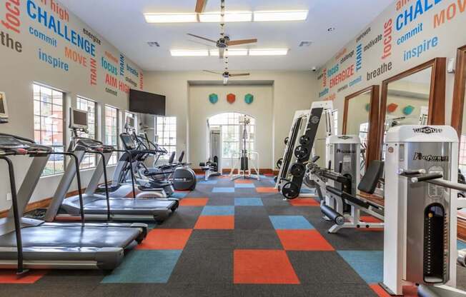 a gym with cardio machines and weights in a large room with windows