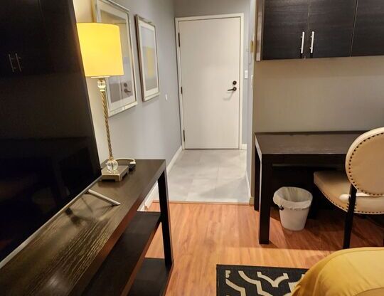 Studio, 1 bath, 450 sqft, $2,200, Unit 101