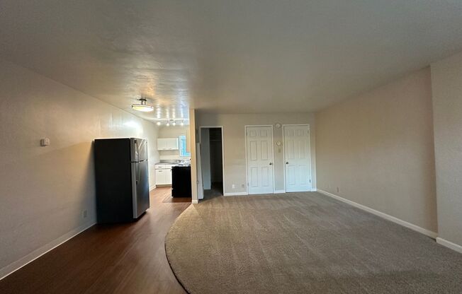 Studio, 1 bath, $1,425, Unit 209