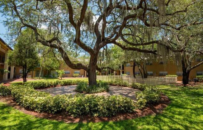 a circle of plants around a tree in a courtyard