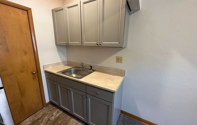 1 bed, 1 bath, 600 sqft, $520