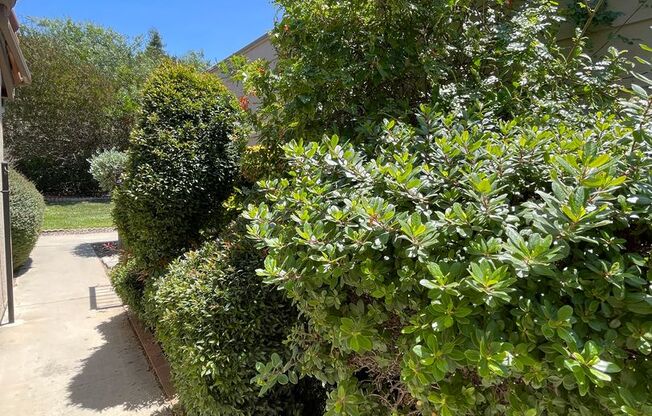 Great Updated  2BR/2BA Single story  Condo in Oaks North W/Views and 1 Car Detached Garage