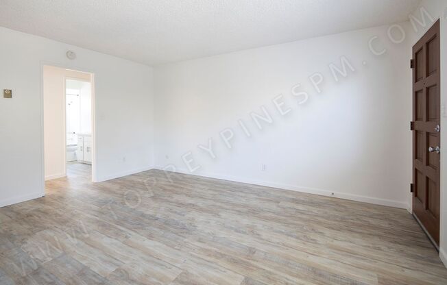 Beautifully Upgraded 1 Br Apt in Pacific Beach with Parking!