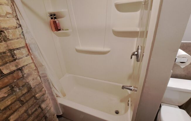 1 bed, 1 bath, 500 sqft, $1,025, Unit 1