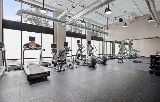 Treadmillat The Shelby, Illinois, 60616