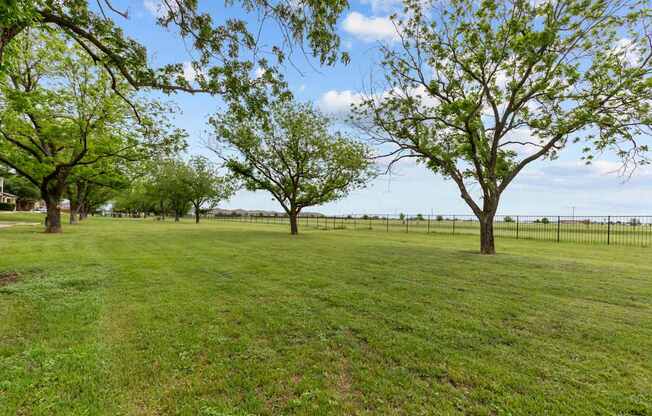 A grassy field with trees and a fence in the distance.