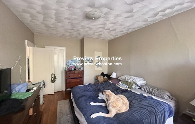 249 Chestnut Hill Ave