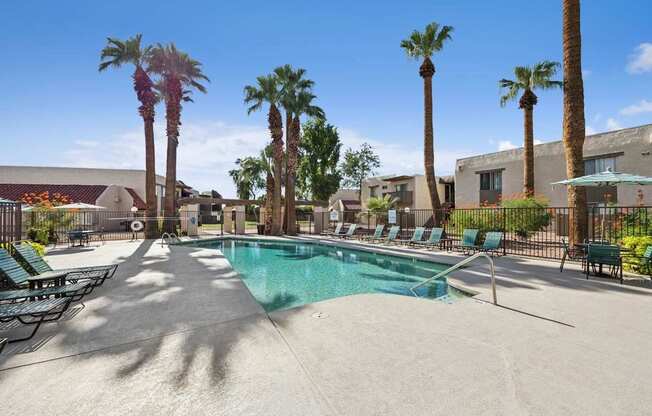 Madera at Metro Pool and Palm Trees