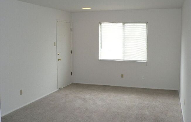 1 bed, 1 bath, 620 sqft, $785, Unit 5262-3
